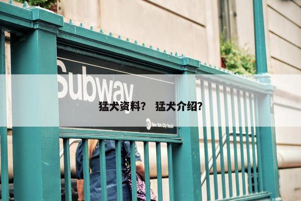 猛犬资料？ 猛犬介绍？