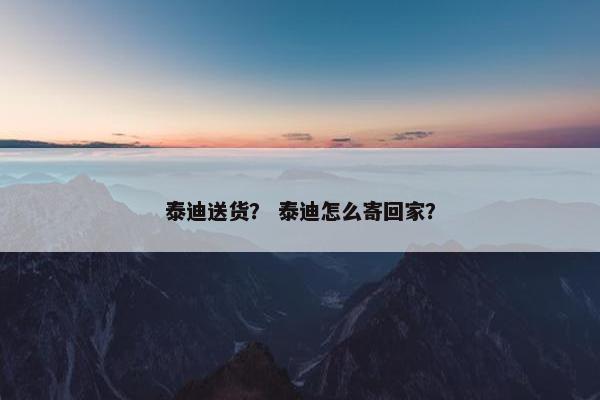 泰迪送货？ 泰迪怎么寄回家？