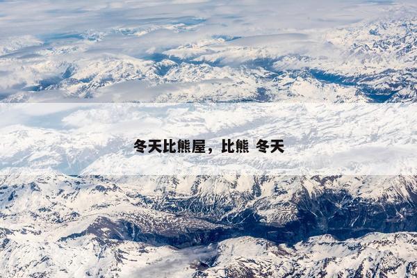 冬天比熊屋,比熊 冬天