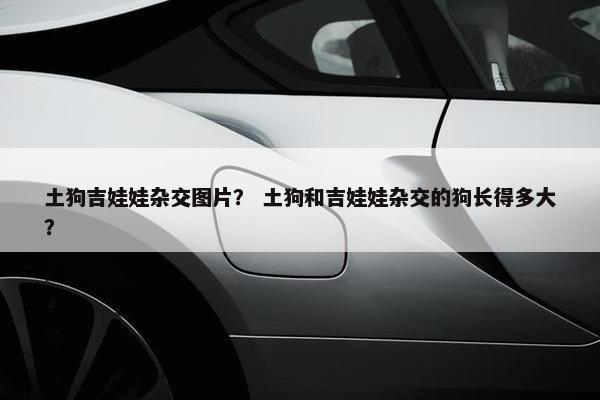 土狗吉娃娃杂交图片？ 土狗和吉娃娃杂交的狗长得多大？