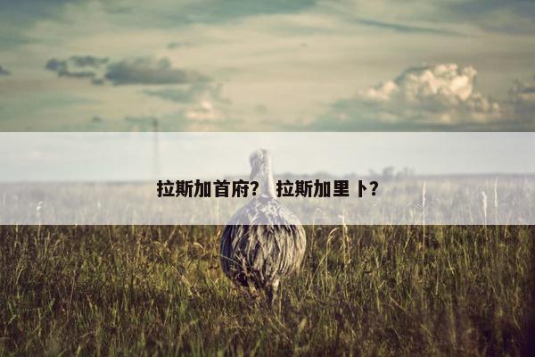 拉斯加首府？ 拉斯加里卜？