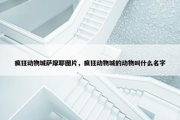 疯狂动物城萨摩耶图片，疯狂动物城的动物叫什么名字