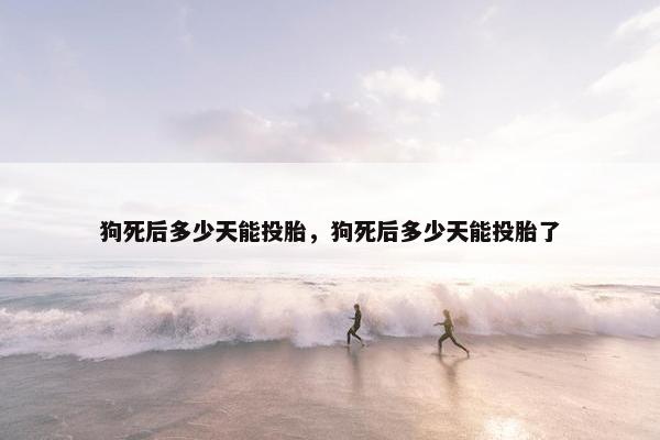 狗死后多少天能投胎，狗死后多少天能投胎了