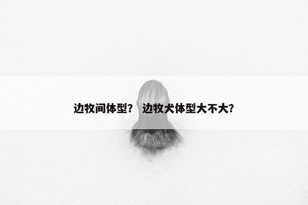 边牧间体型？ 边牧犬体型大不大？