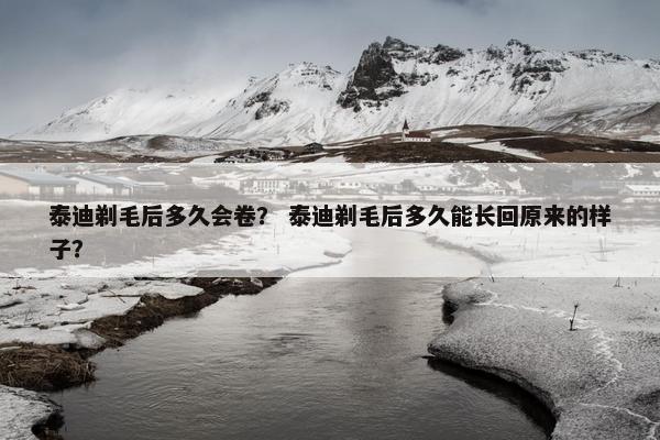 泰迪剃毛后多久会卷? 泰迪剃毛后多久能长回原来的样子? 泰迪剃毛后多久会卷? 泰迪剃毛后多久能长回原来的样子?