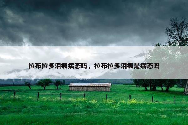 拉布拉多泪痕病态吗，拉布拉多泪痕是病态吗