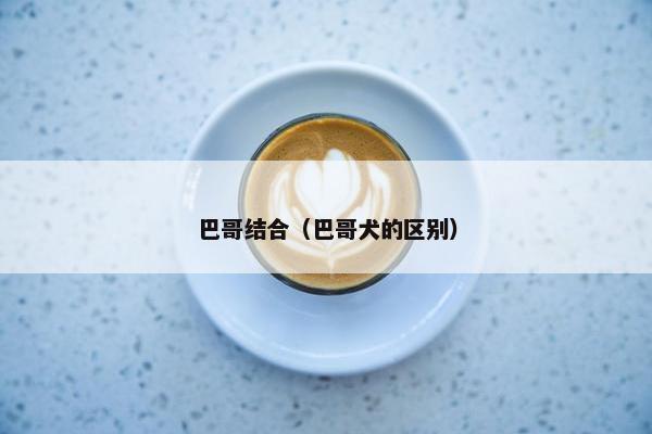 巴哥结合（巴哥犬的区别）