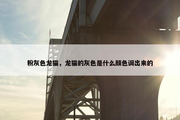 粉灰色龙猫，龙猫的灰色是什么颜色调出来的
