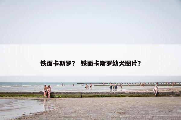 铁面卡斯罗? 铁面卡斯罗幼犬图片? 铁面卡斯罗? 铁面卡斯罗幼犬图片?