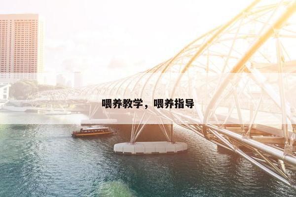 喂养教学,喂养指导