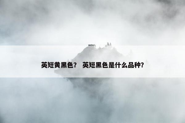 英短黄黑色? 英短黑色是什么品种?