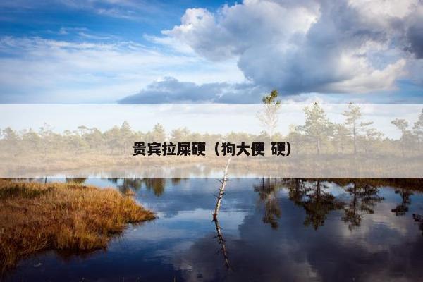 贵宾拉屎硬(狗大便 硬)