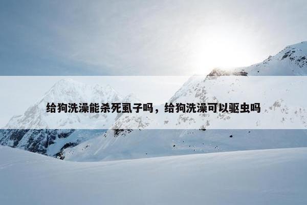 给狗洗澡能杀死虱子吗,给狗洗澡可以驱虫吗 给狗洗澡能杀死虱子吗,给狗洗澡可以驱虫吗