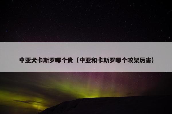 中亚犬卡斯罗哪个贵（中亚和卡斯罗哪个咬架厉害）