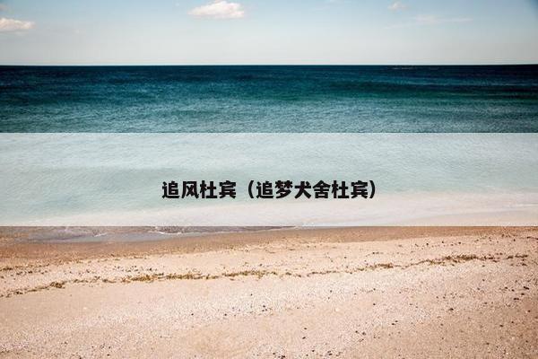 追风杜宾（追梦犬舍杜宾）