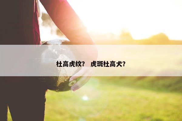 杜高虎纹? 虎斑杜高犬?