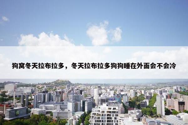 狗窝冬天拉布拉多,冬天拉布拉多狗狗睡在外面会不会冷