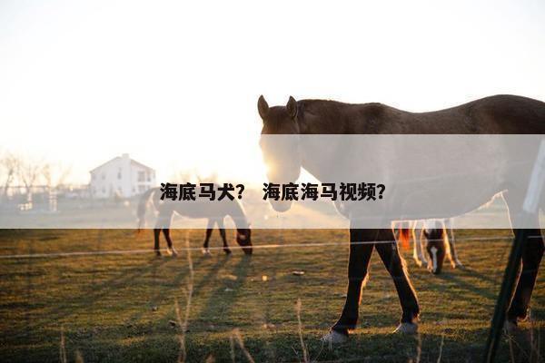 海底马犬? 海底海马视频?