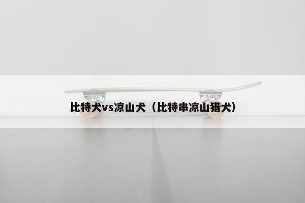 比特犬vs凉山犬（比特串凉山猎犬）