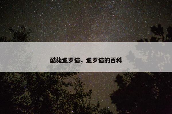 酷毙暹罗猫,暹罗猫的百科