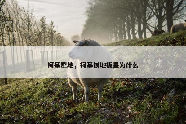 柯基犁地，柯基刨地板是为什么