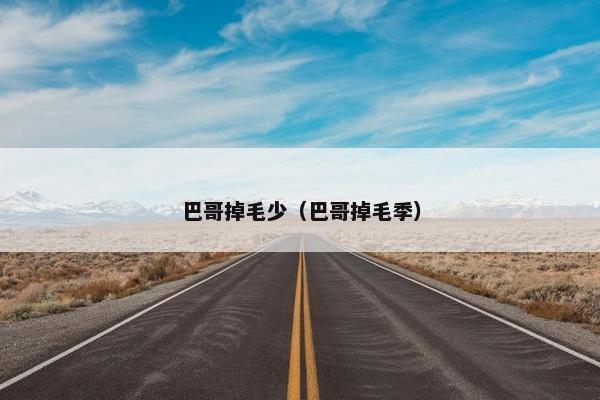 巴哥掉毛少(巴哥掉毛季)