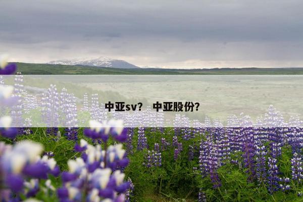 中亚sv？ 中亚股份？
