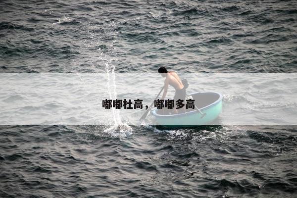 嘟嘟杜高，嘟嘟多高