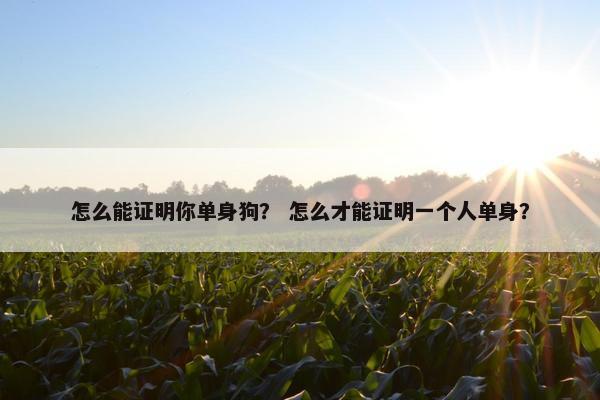 怎么能证明你单身狗？ 怎么才能证明一个人单身？