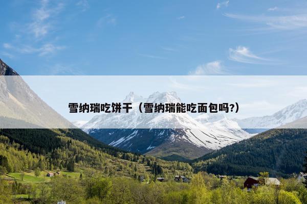 雪纳瑞吃饼干（雪纳瑞能吃面包吗?）