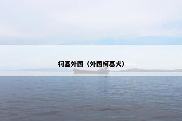 柯基外国(外国柯基犬)