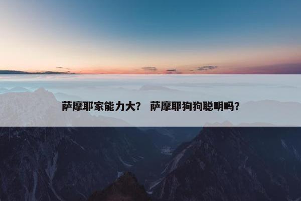 萨摩耶家能力大? 萨摩耶狗狗聪明吗? 萨摩耶家能力大? 萨摩耶狗狗聪明吗?
