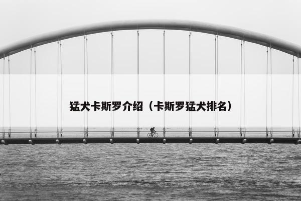 猛犬卡斯罗介绍(卡斯罗猛犬排名)