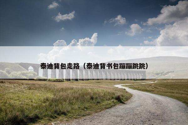 泰迪背包走路（泰迪背书包蹦蹦跳跳）