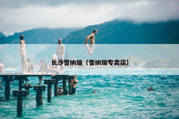 长沙雪纳瑞（雪纳瑞专卖店）