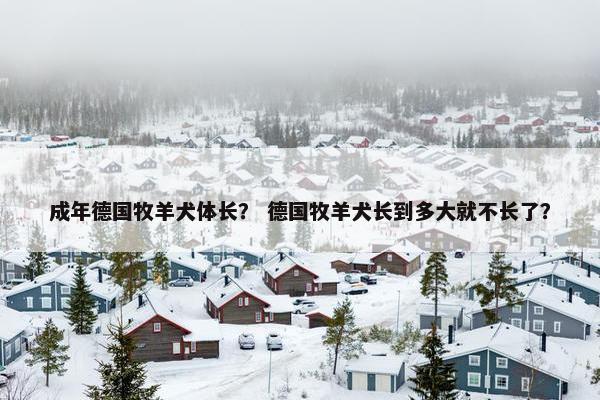 成年德国牧羊犬体长? 德国牧羊犬长到多大就不长了? 成年德国牧羊犬体长? 德国牧羊犬长到多大就不长了?