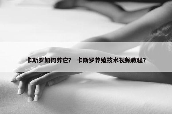 卡斯罗如何养它？ 卡斯罗养殖技术视频教程？