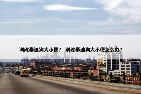 训练泰迪狗大小便? 训练泰迪狗大小便怎么办?