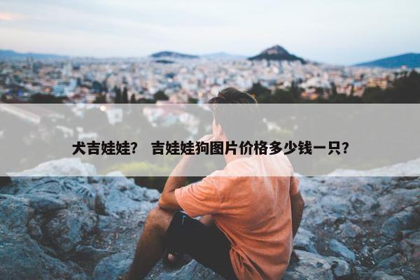 犬吉娃娃? 吉娃娃狗图片价格多少钱一只?