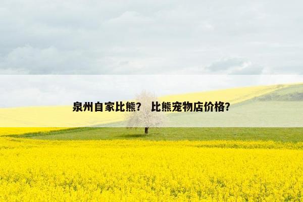 泉州自家比熊? 比熊宠物店价格?