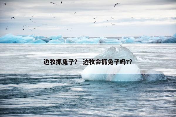 边牧抓兔子? 边牧会抓兔子吗??