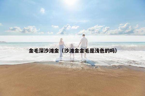 金毛深沙滩金（沙滩金金毛是浅色的吗）