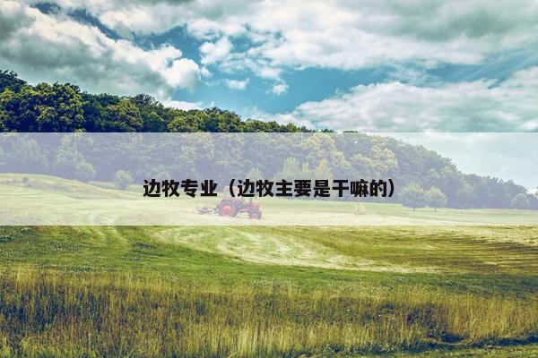 边牧专业（边牧主要是干嘛的）