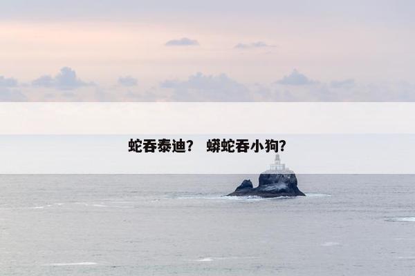 蛇吞泰迪？ 蟒蛇吞小狗？