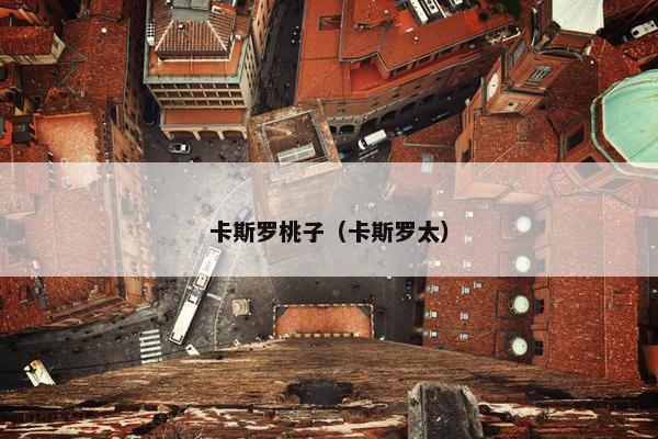 卡斯罗桃子（卡斯罗太）