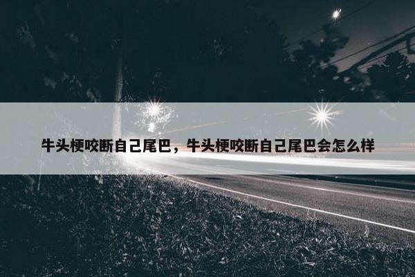 牛头梗咬断自己尾巴,牛头梗咬断自己尾巴会怎么样