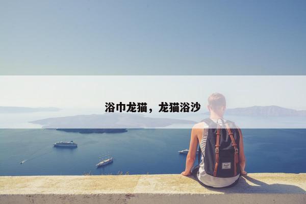 浴巾龙猫,龙猫浴沙