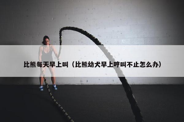 比熊每天早上叫(比熊幼犬早上哼叫不止怎么办)