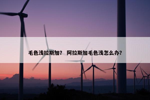 毛色浅拉斯加？ 阿拉斯加毛色浅怎么办？