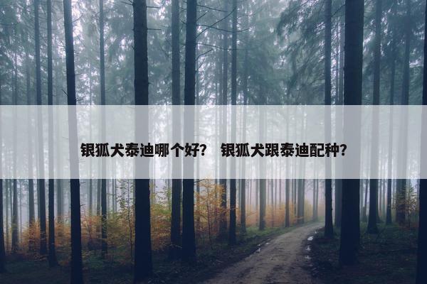 银狐犬泰迪哪个好？ 银狐犬跟泰迪配种？
